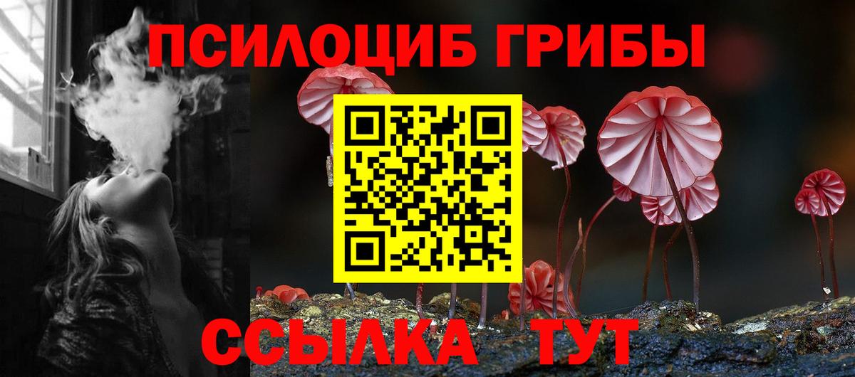 Галлюциногенные грибы прущие грибы Кинель