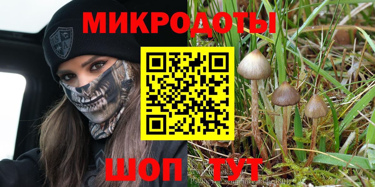 Кинель  купить наркотик  Вход с VPN  Галлюциногенные грибы Psilocybe  Псилоцибиновые грибы Cubensis 
